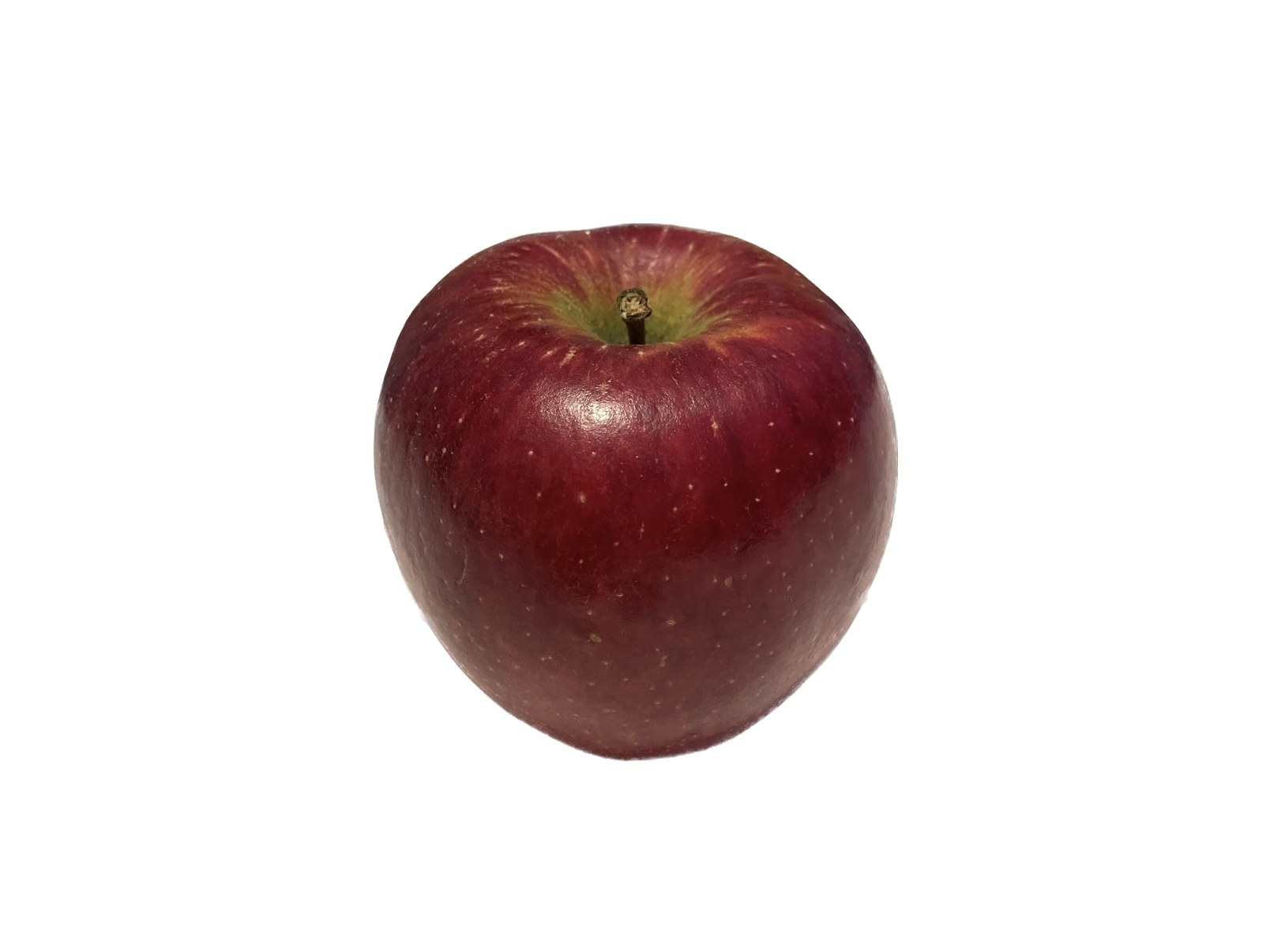 Obsthof Cordes - Fruchtfoto Braeburn